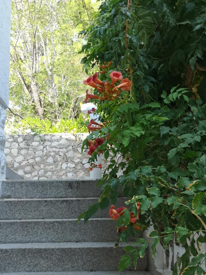 Apartments Bassi Stara Baška 外观 照片